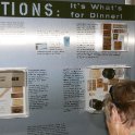 Display on WW II Rations
